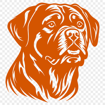 A detailed illustration of a Rottweiler's head, suitable for digital cutting machines or vector design.