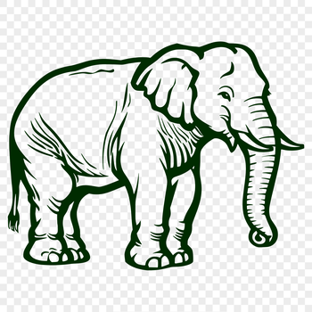 A detailed illustration of a standing elephant from the front, showcasing its full body in a realistic style.