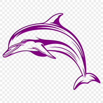 A detailed illustration of a dolphin's full body in profile, showcasing its sleek marine mammal features.