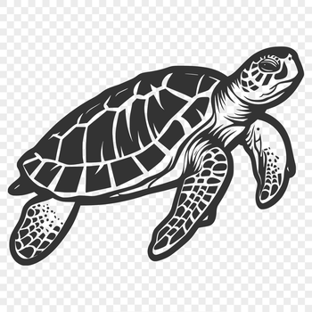 Vector art design featuring a realistic sea creature often found in seaside environments.