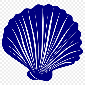 A stylized illustration of a seashell, suitable for vector graphics.