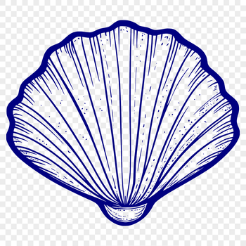 A detailed illustration of a seashell in a vector format.