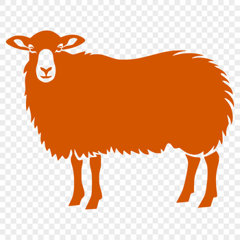 A detailed illustration of a farm animal, a sheep, in full body view.
