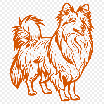 A full-body portrait of a Shetland sheepdog standing on its hind legs.