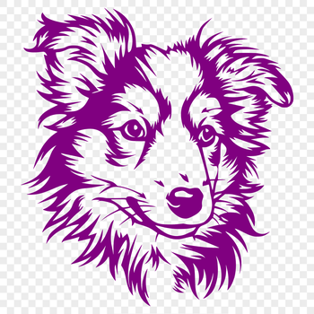 An SVG vector graphic representation of a Shetland sheepdog breed's facial features.