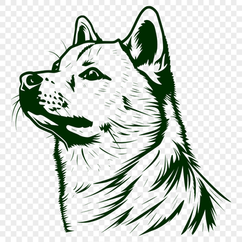 A small Japanese breed dog with fox-like features.