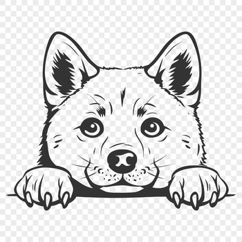 A close-up view of the head of a Shiba Inu dog, depicted in a simplified vector style.