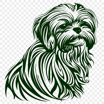 A small, fluffy dog breed, the Shih Tzu, in full body sitting pose.