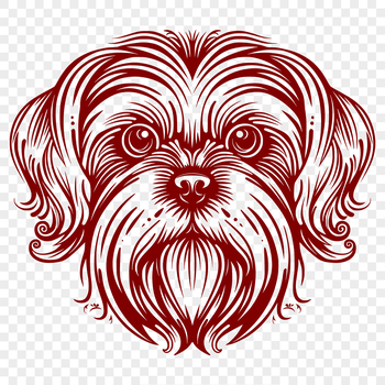A small breed dog with a rounded head and long coat.