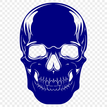 A detailed illustration of a skull with intricate details, suitable for Halloween designs and vector art projects.