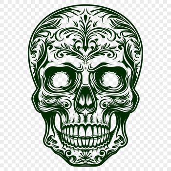 A detailed illustration of a skull suitable for various design projects including tattoos and stencil designs.