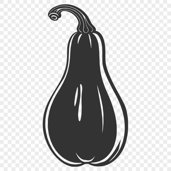 Artistic Squash SVG