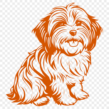 Close-up illustration of a sitting Havanese dog breed with full body detail.