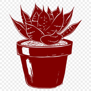 A detailed illustration of a succulent plant with thick fleshy leaves and stems.