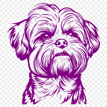 Free Unique Shih Tzu Decal