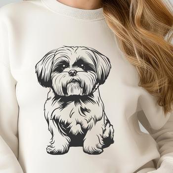 A seated Shih Tzu dog shown in full body view.