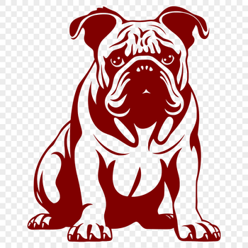 A full-body illustration of a bulldog sitting, created as vector art for various uses including digital design and printing.