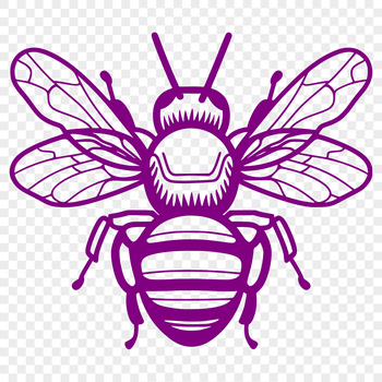An illustration of a bee in full-body view, depicted in a simple vector style suitable for various digital formats.