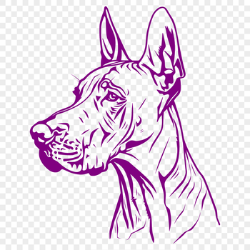 An illustration of a Great Dane, a popular pet animal known for its size and gentle nature.