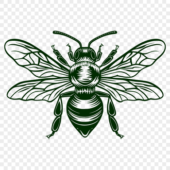 A detailed illustration of a full-body bee insect with a rounded abdomen and prominent wings.