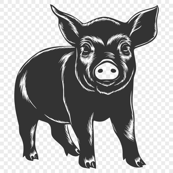 A full-body illustration of a standing pig, suitable for vector design or cutting machine projects.