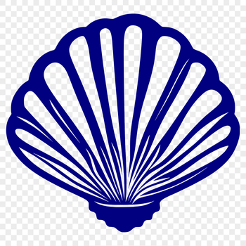 A detailed illustration of a seashell, ideal for use in design projects requiring vector art.