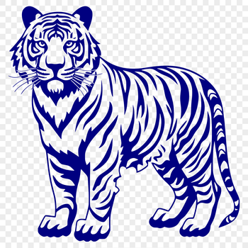 A standing tiger with its full body shown in vibrant detail.