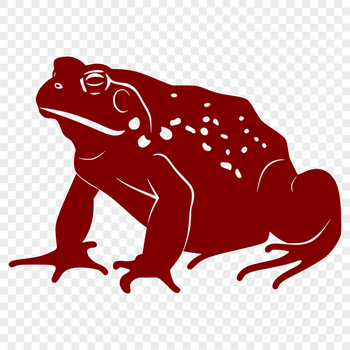 A detailed, full-body illustration of a toad in vector format.