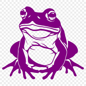 Beautiful Toad - Vinyl PDF