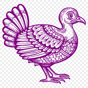 A detailed illustration of a farm animal, commonly raised for meat during the Christmas season.