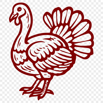 A detailed illustration of a farm-raised turkey in full body pose.