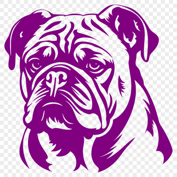 Stunning Bulldog Decal