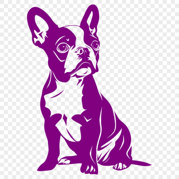 Close-up illustration of a sitting Boston Terrier dog.
