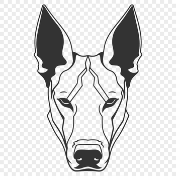 A detailed illustration of a Doberman Pinscher's head, suitable as vector art for various designs.