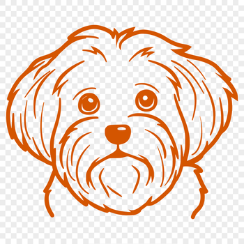 Illustrative depiction of a Havanese dog's head with detailed features suitable for digital cutting or engraving.