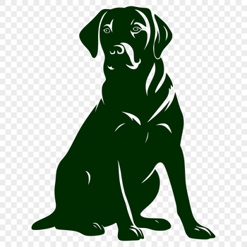 Labrador Retriever dog in a sitting position, illustrated in vector format.