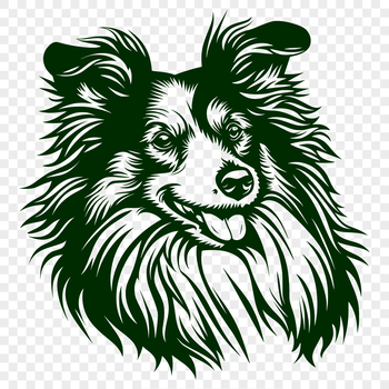 Close-up illustration of a Shetland sheepdog's head, suitable for personal or commercial use in graphic design projects.