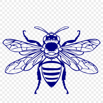 A detailed illustration of a honeybee in full body, suitable for vector design and clip art.