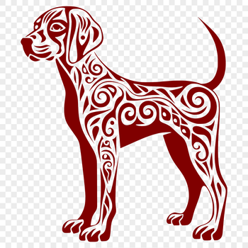 A medium-sized dog breed with a sleek coat, standing in a straightforward pose.