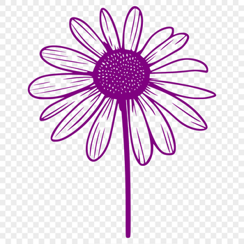 Vector illustration of a wild flower in bloom, suitable for digital design projects.