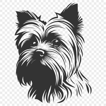 Beautiful Yorkshire Terrier PDF