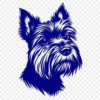 A small breed dog's head with a distinctive shape and features.