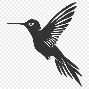 A detailed illustration of a hummingbird in mid-flight, depicted in vector graphics.
