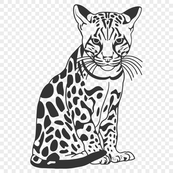 A close-up illustration of an ocelot's full body, showcasing its distinctive markings and fur texture.