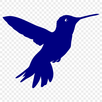 A detailed illustration of a hummingbird in flight, showcasing its full body structure.