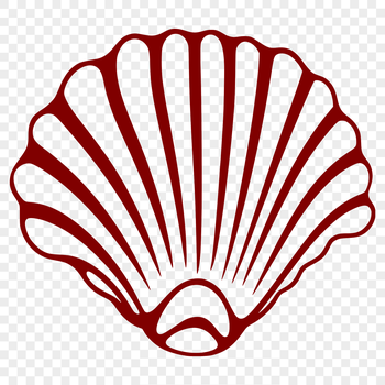 A detailed illustration of a seashell, perfect for seaside themed designs.