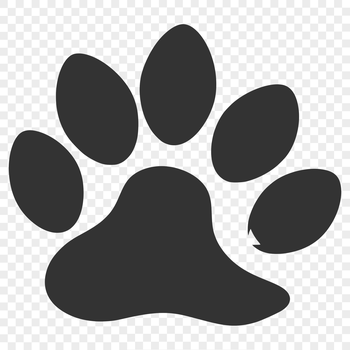 A set of digital paw prints in various sizes and styles, suitable for use as clip art or vector design.