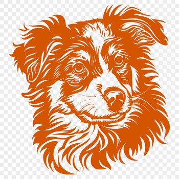 A detailed illustration of a Australian Shepherd dog's head, suitable for vector art design.