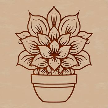 A detailed illustration of a desert succulent plant with thick, fleshy leaves.