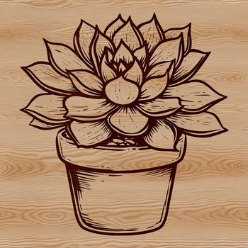 A succulent plant with thick, fleshy leaves and stems, suitable for vector graphics and design projects.